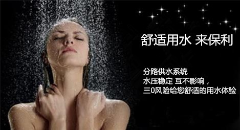 来保利