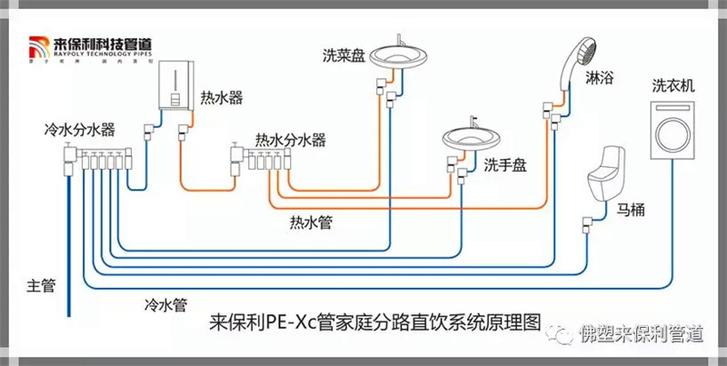 640.webp (2).jpg